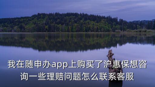 我在隨申辦app上購買了滬惠保想咨詢一些理賠問題怎么聯系客服