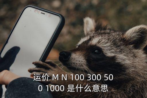 運價 M N 100 300 500 1000 是什么意思