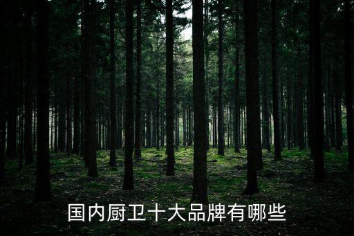 中國廚衛(wèi)，中國廚衛(wèi)十大品牌有哪些
