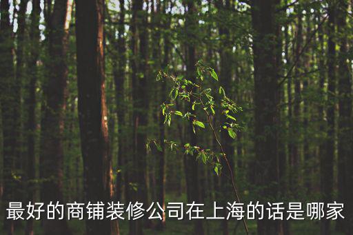 最好的商鋪裝修公司在上海的話是哪家