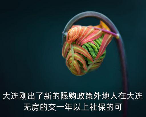 大連剛出了新的限購政策外地人在大連無房的交一年以上社保的可