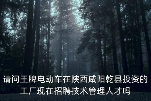 請問王牌電動車在陜西咸陽乾縣投資的工廠現(xiàn)在招聘技術(shù)管理人才嗎