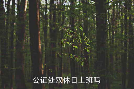 公證處雙休日上班嗎