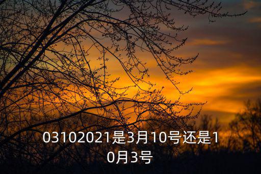 3月3號，03102021是3月10號還是10月3號