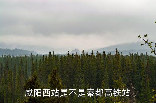 咸陽西站是不是秦都高鐵站