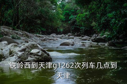 鐵嶺西到天津g1262次列車幾點到天津