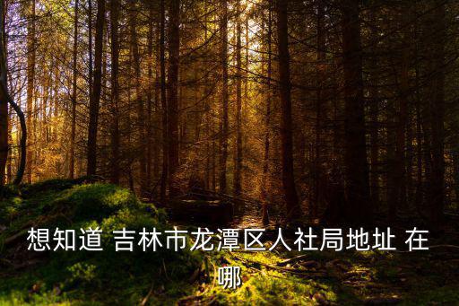 想知道 吉林市龍潭區人社局地址 在哪