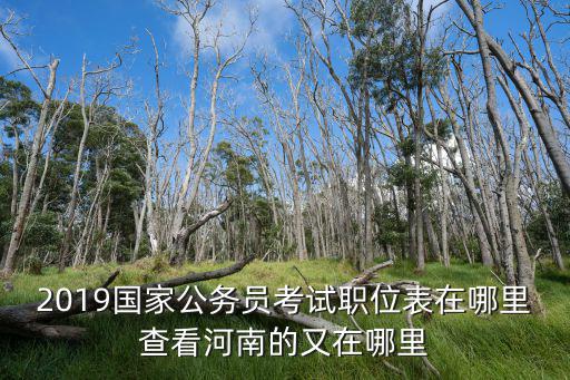 2019國家公務員考試職位表在哪里查看河南的又在哪里