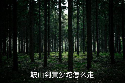 鞍山到黃沙坨怎么走