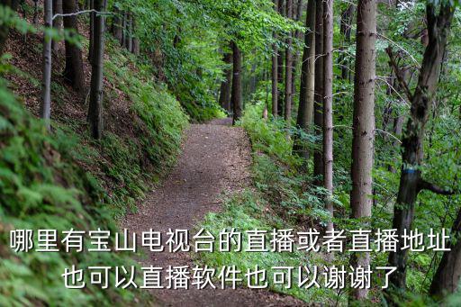 哪里有寶山電視臺的直播或者直播地址也可以直播軟件也可以謝謝了