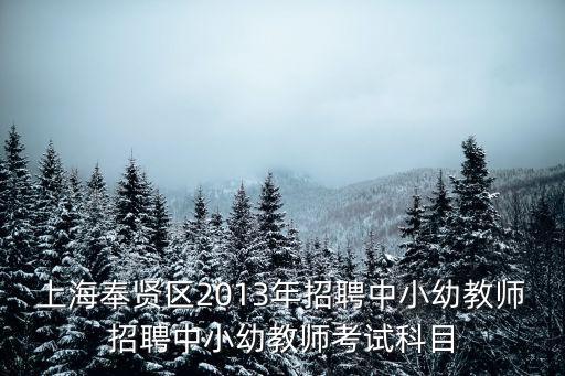 上海奉賢區2013年招聘中小幼教師招聘中小幼教師考試科目