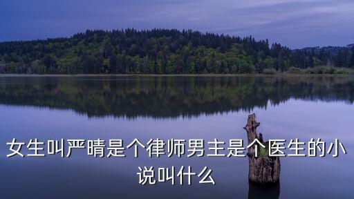 女生叫嚴(yán)晴是個(gè)律師男主是個(gè)醫(yī)生的小說叫什么