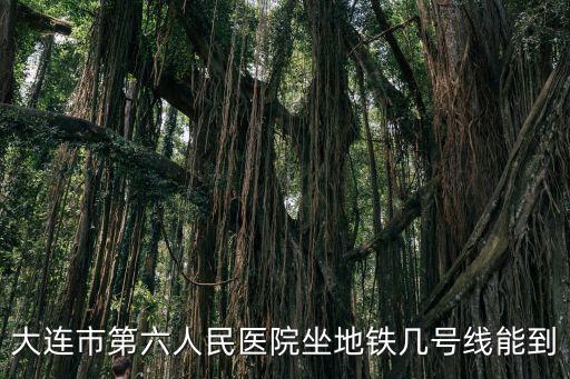 大連市第六人民醫(yī)院，大連傳染病醫(yī)院與第六人民醫(yī)院是一個(gè)単位嗎