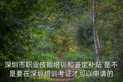 深圳市職業(yè)技能培訓(xùn)和鑒定補(bǔ)貼 是不是要在深圳培訓(xùn)考證才可以申請的