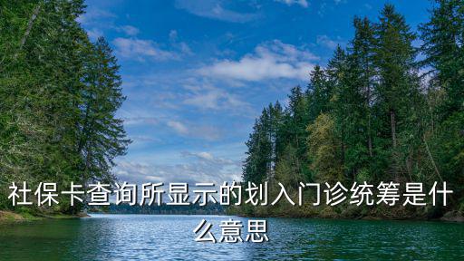 社保卡查詢所顯示的劃入門診統籌是什么意思