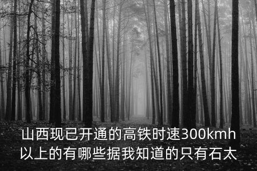 石太高鐵，關(guān)于石太高鐵