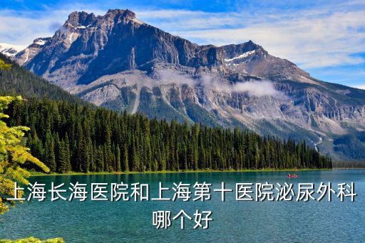 上海長海醫(yī)院和上海第十醫(yī)院泌尿外科哪個好