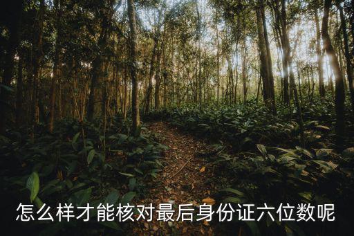 身份證核對，怎么樣才能核對最后身份證六位數呢