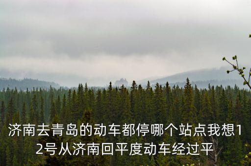 濟南到青島動車，濟南到青島動車多少時間