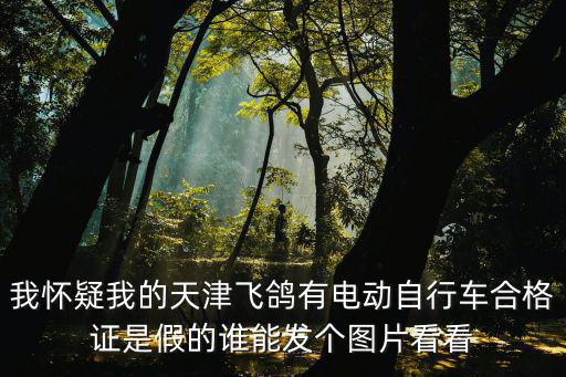 電動車合格證圖片，我懷疑我的天津飛鴿有電動自行車合格證是假的誰能發個圖片看看