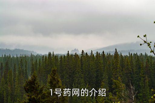 1號藥店官網，1號藥網的介紹