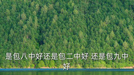 是包八中好還是包二中好 還是包九中好