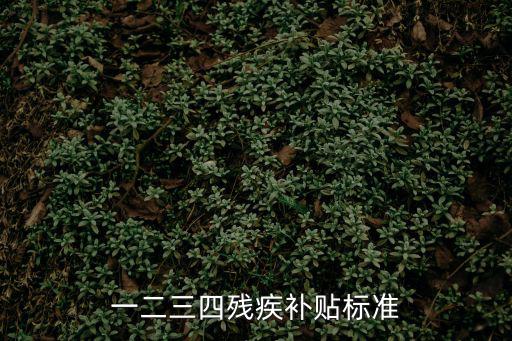 一二三四殘疾補(bǔ)貼標(biāo)準(zhǔn)