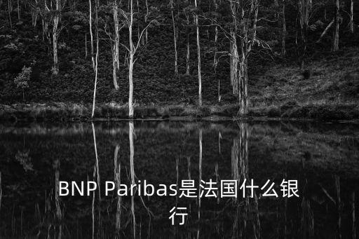 BNP Paribas是法國什么銀行
