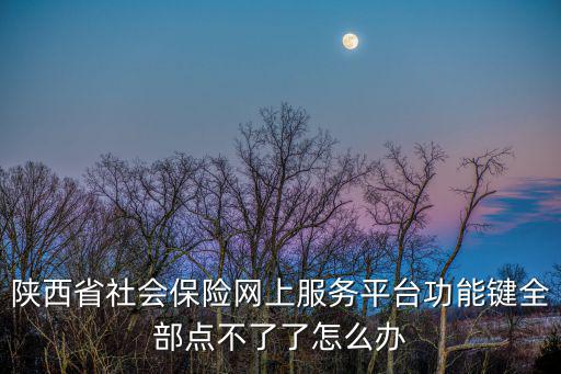 陜西省社會保險網上服務平臺功能鍵全部點不了了怎么辦