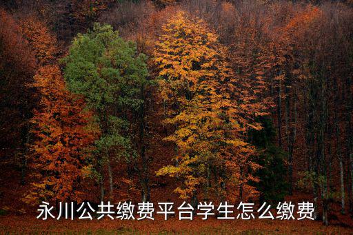 永川公共繳費(fèi)平臺(tái)學(xué)生怎么繳費(fèi)