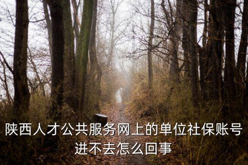 陜西人才公共服務(wù)網(wǎng)上的單位社保賬號進(jìn)不去怎么回事
