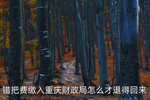 錯把費繳入重慶財政局怎么才退得回來