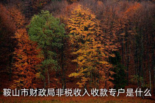 鞍山市財政局非稅收入收款專戶是什么