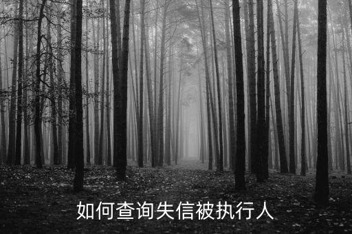 如何查詢失信被執行人