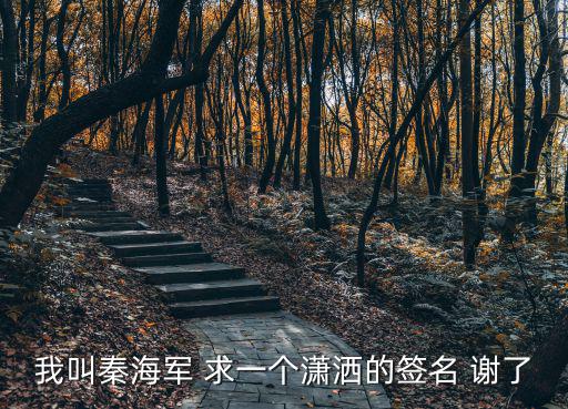 我叫秦海軍 求一個瀟灑的簽名 謝了
