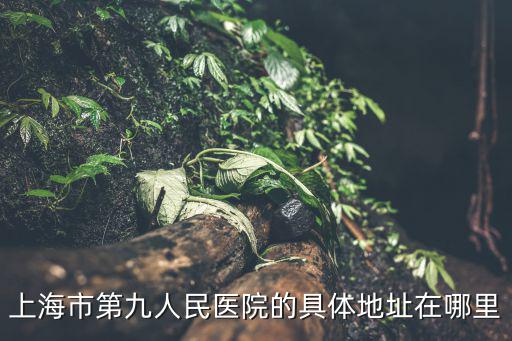 上海市第九人民醫院的具體地址在哪里