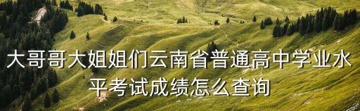 大哥哥大姐姐們云南省普通高中學業水平考試成績怎么查詢