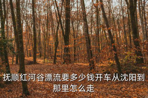 撫順紅河谷漂流，撫順紅河谷漂流要多少錢開車從沈陽到那里怎么走