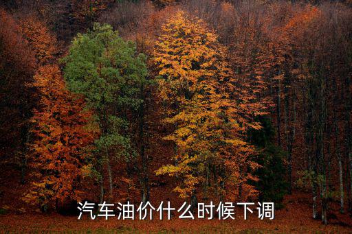汽車油價什么時候下調(diào)