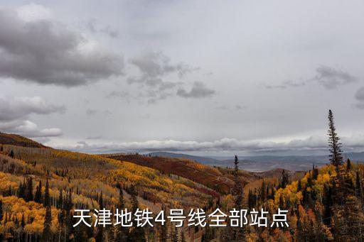 天津地鐵4號(hào)線全部站點(diǎn)