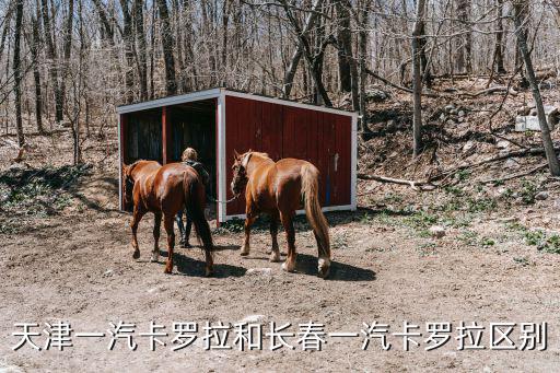 天津一汽卡羅拉和長春一汽卡羅拉區(qū)別