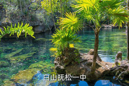 白山撫松一中