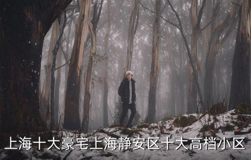 上海豪宅，上海十大豪宅上海靜安區十大高檔小區