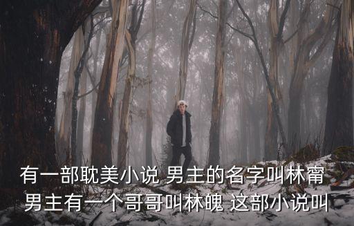 有一部耽美小說 男主的名字叫林甯 男主有一個(gè)哥哥叫林魄 這部小說叫
