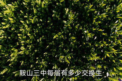 鞍山三中每屆有多少交換生
