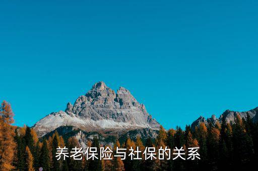 養(yǎng)老保險與社保的關(guān)系