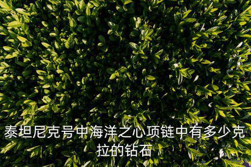 海洋之心鉆石，泰坦尼克號中的海洋之星鉆石被打撈出來了沒