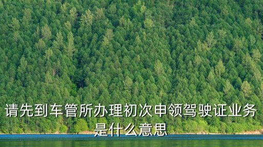 請先到車管所辦理初次申領駕駛證業務是什么意思