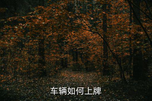車(chē)輛如何上牌