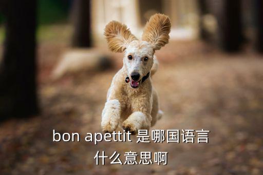 bon apettit 是哪國語言什么意思啊